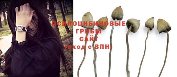 эйфоретик Туринск