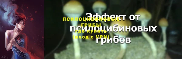 хмурый Кадников