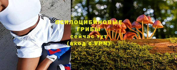 молекула духа Тутаев