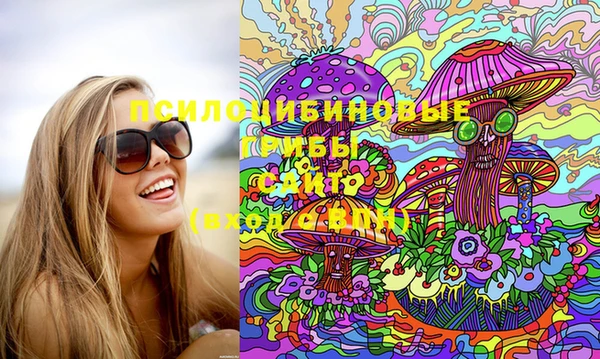 хмурый Кадников