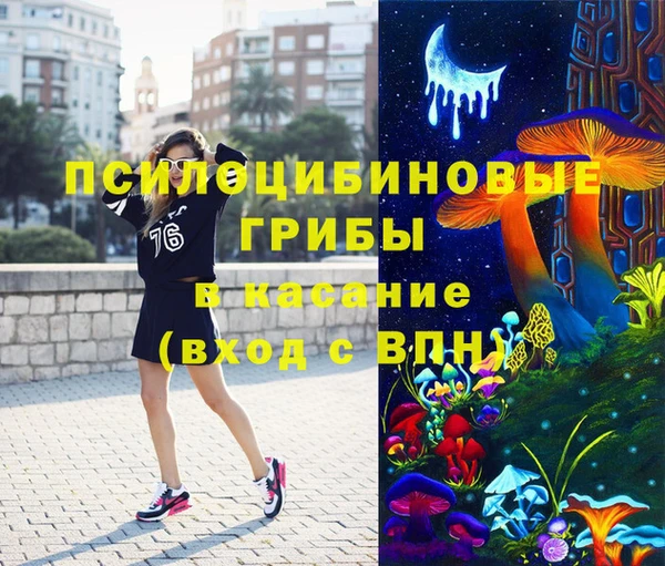 эйфоретик Туринск