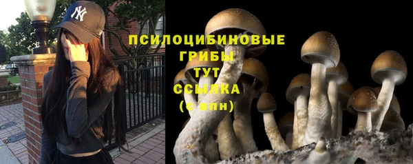 дурь Тында